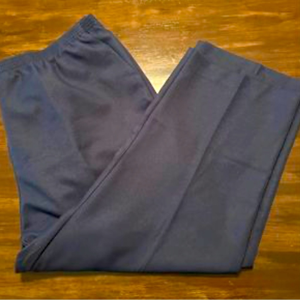 Alfred Dunner Classics Womens Straight Pull-On Pants Sz 24W